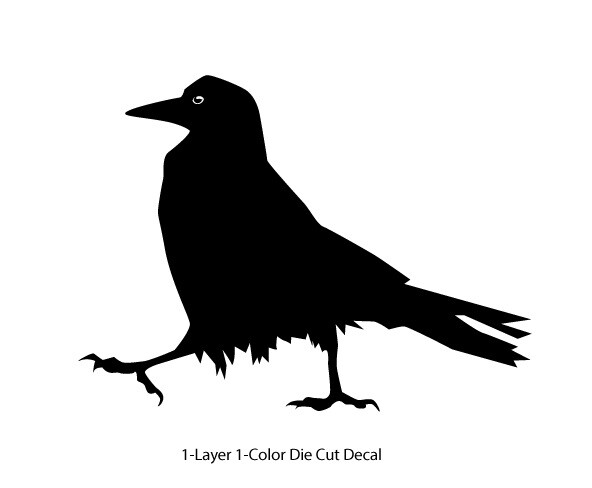 Wildlife – Birds – Walking Raven/Crow Decal – 6Yrs Outdoor Vinyl Die-Cut Sticker
