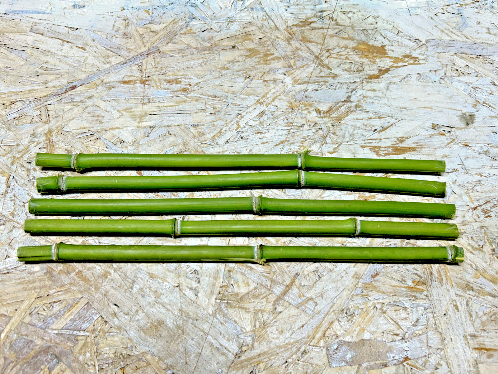 5PCS 1/2″ Diameter Fresh Cut Natural Bamboo For Decor 12″