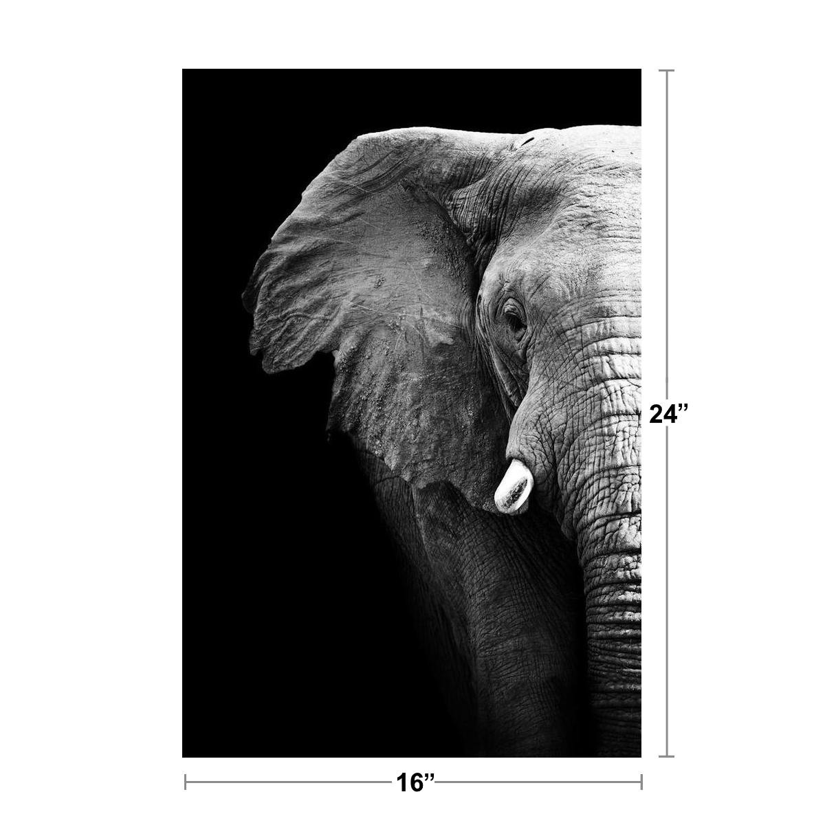 Black and White Elephant Partial Monochrome Art African Elephant Wall Art Elepha