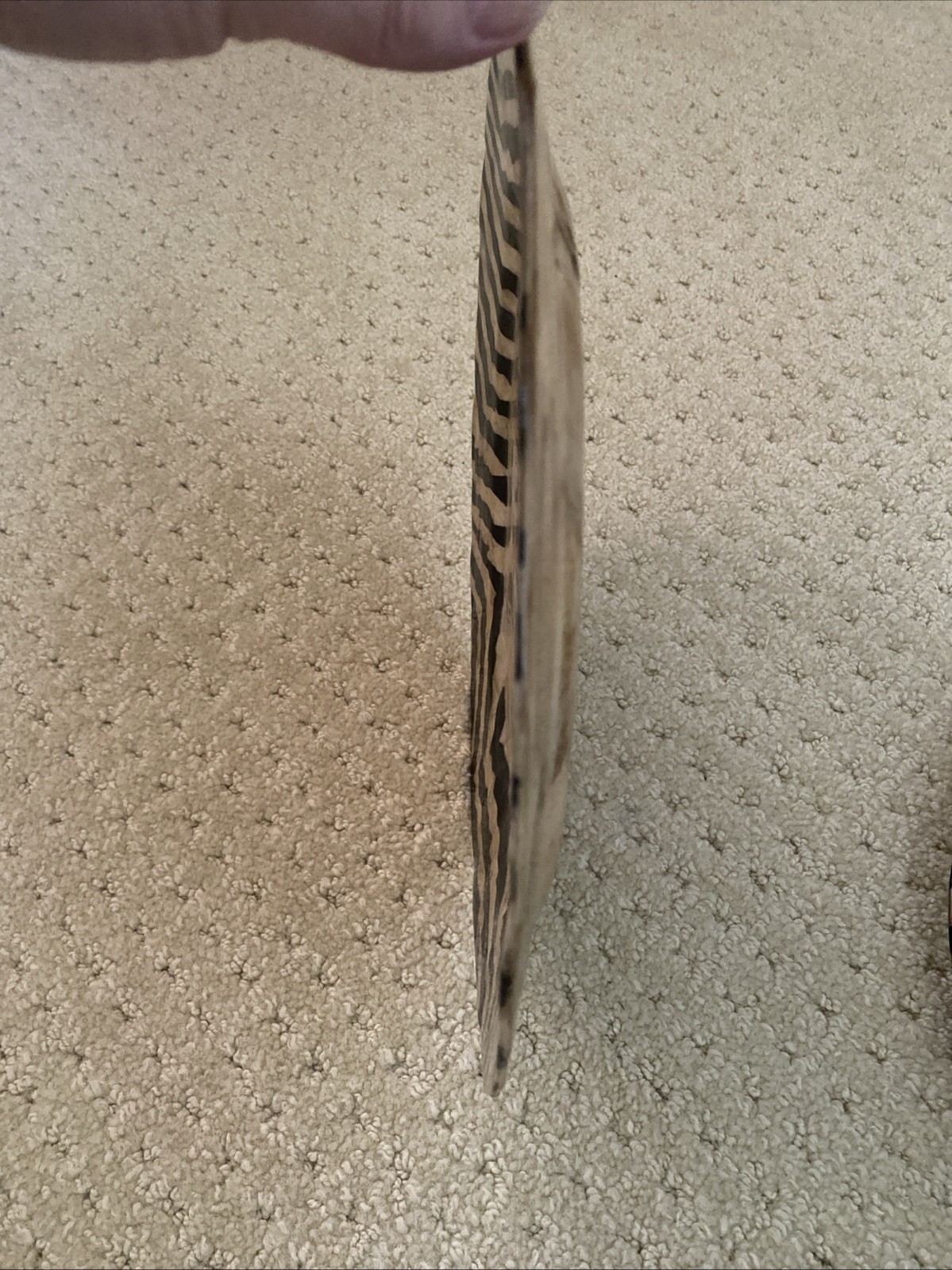 2 Kappa Shell Charger With Zebra Print Border, Hand Painted Made in Philippines