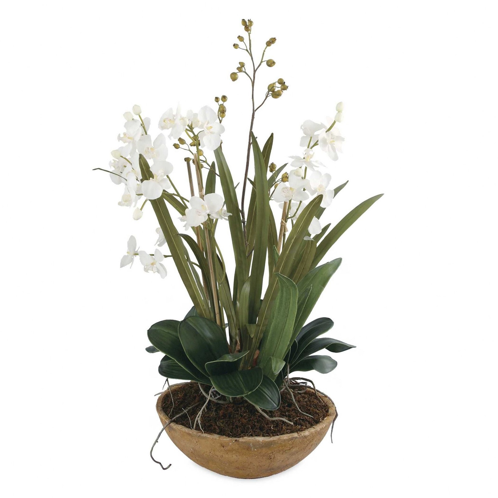 Moth Orchid – 33.5 inch Planter Accessories Uttermost 60039