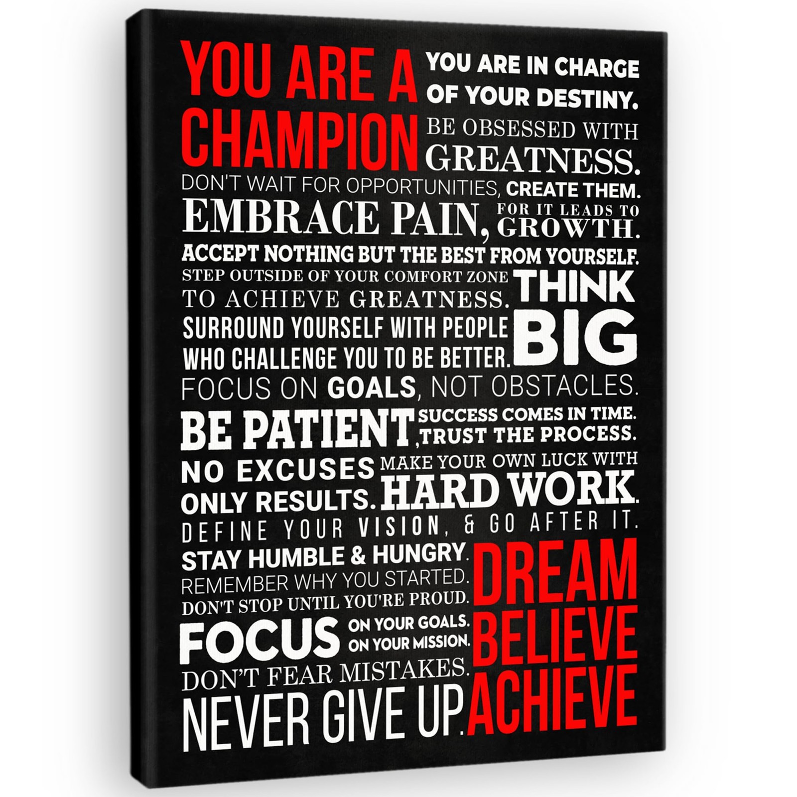 Champion’s Mantra Canvas Wall Art – Motivational Canvas Print for Bedroom, Ho…