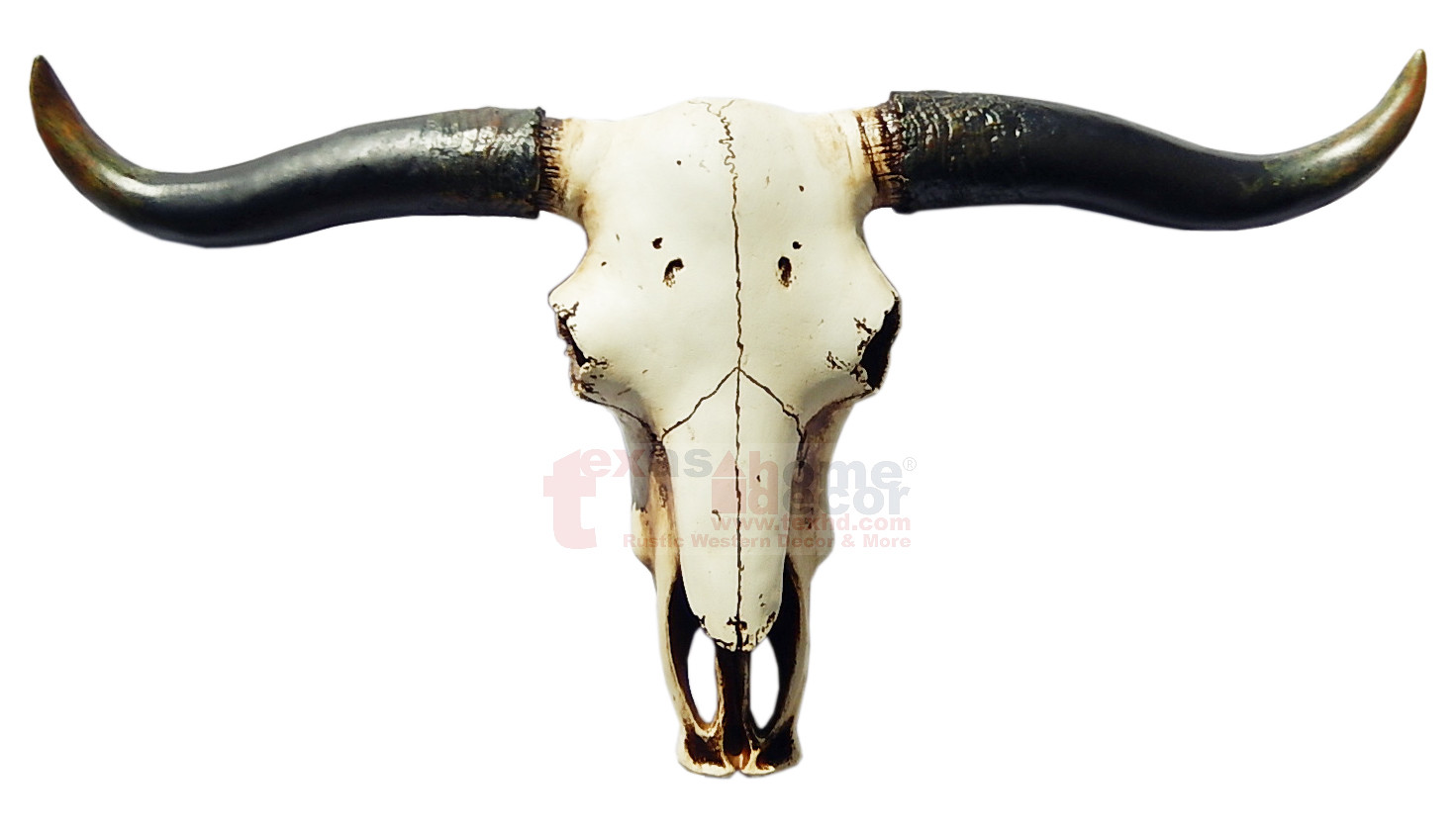 Southwestern Faux Texas Longhorn Skull Steer Rustic Cabin Ranch Decor 20 1/4″