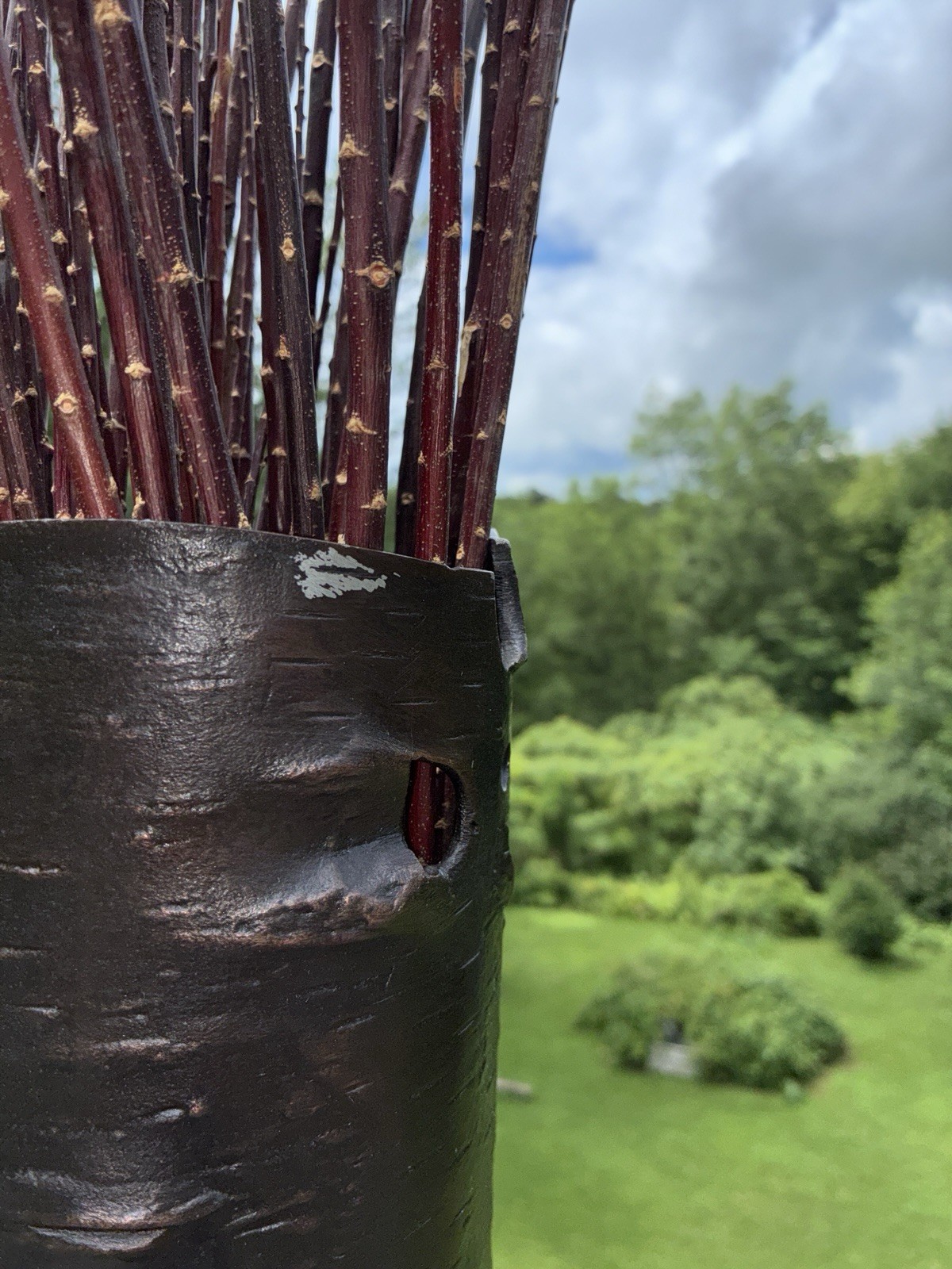 Michael Aram 23″ Oxidized Copper Finish Birch Vase Bark Branch Collection – READ