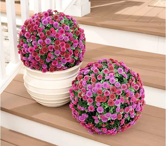 Wicker Park S/2 Oversized 15″ Harvest Faux Mum Flower Spheres Plum Multi