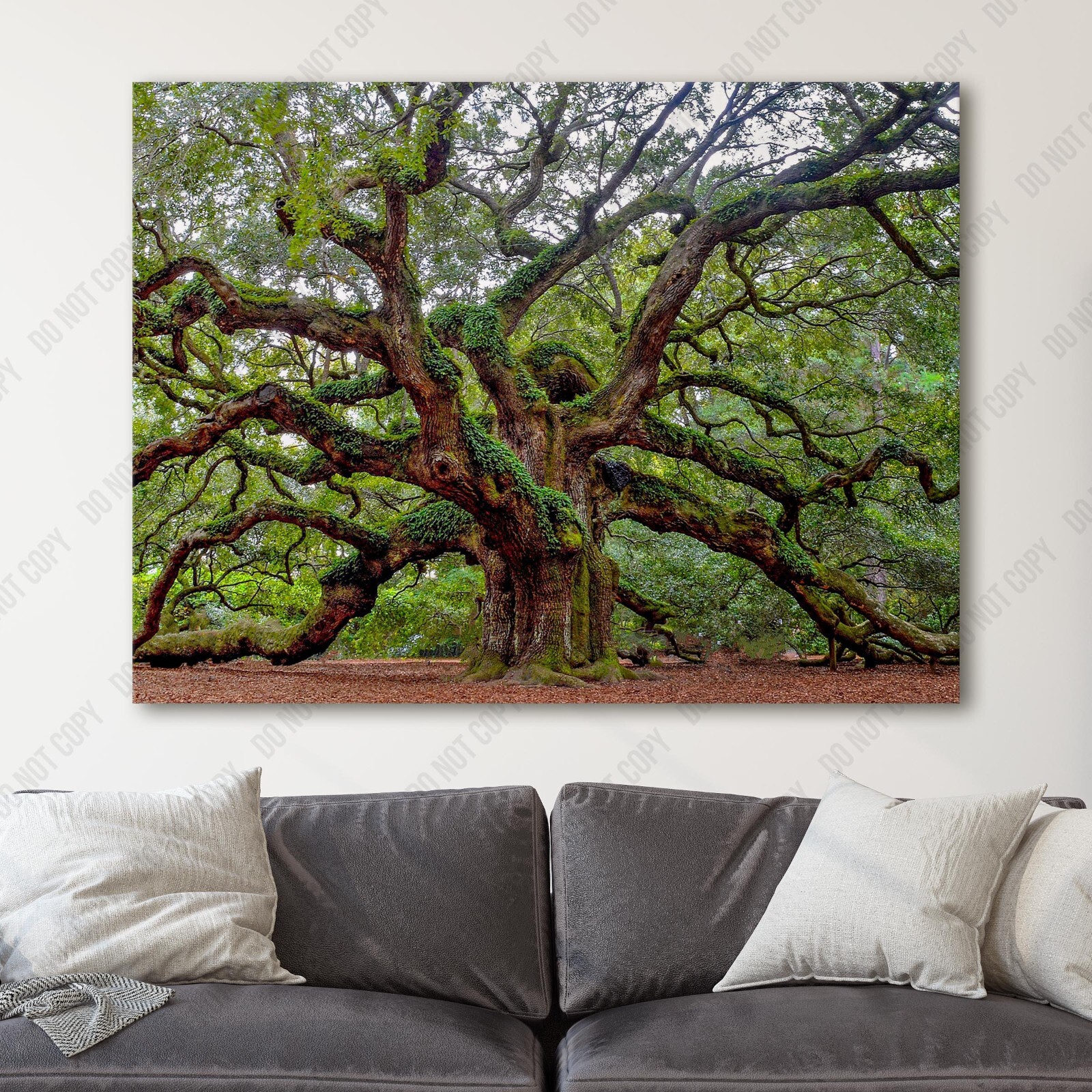 Charleston Angel Oak Tree South Carolina Forest Nature Canvas Wall Art Print