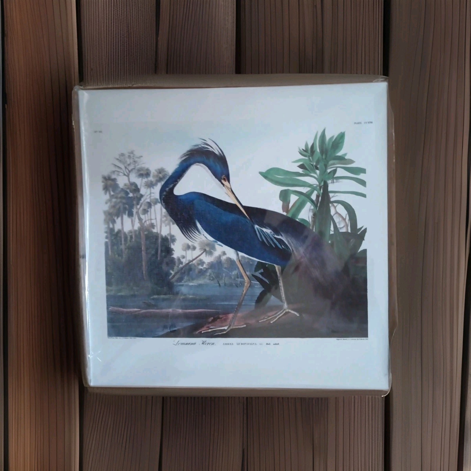 New Special Moments 9 in x 9 in Picture Bird Canvas Wall Mount