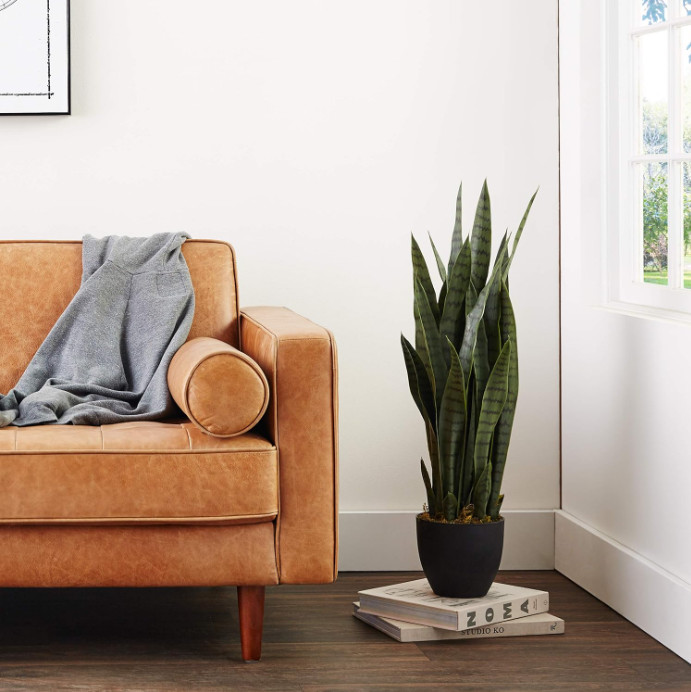 NEW -35in Artificial Green Sansevieria with Black Planter