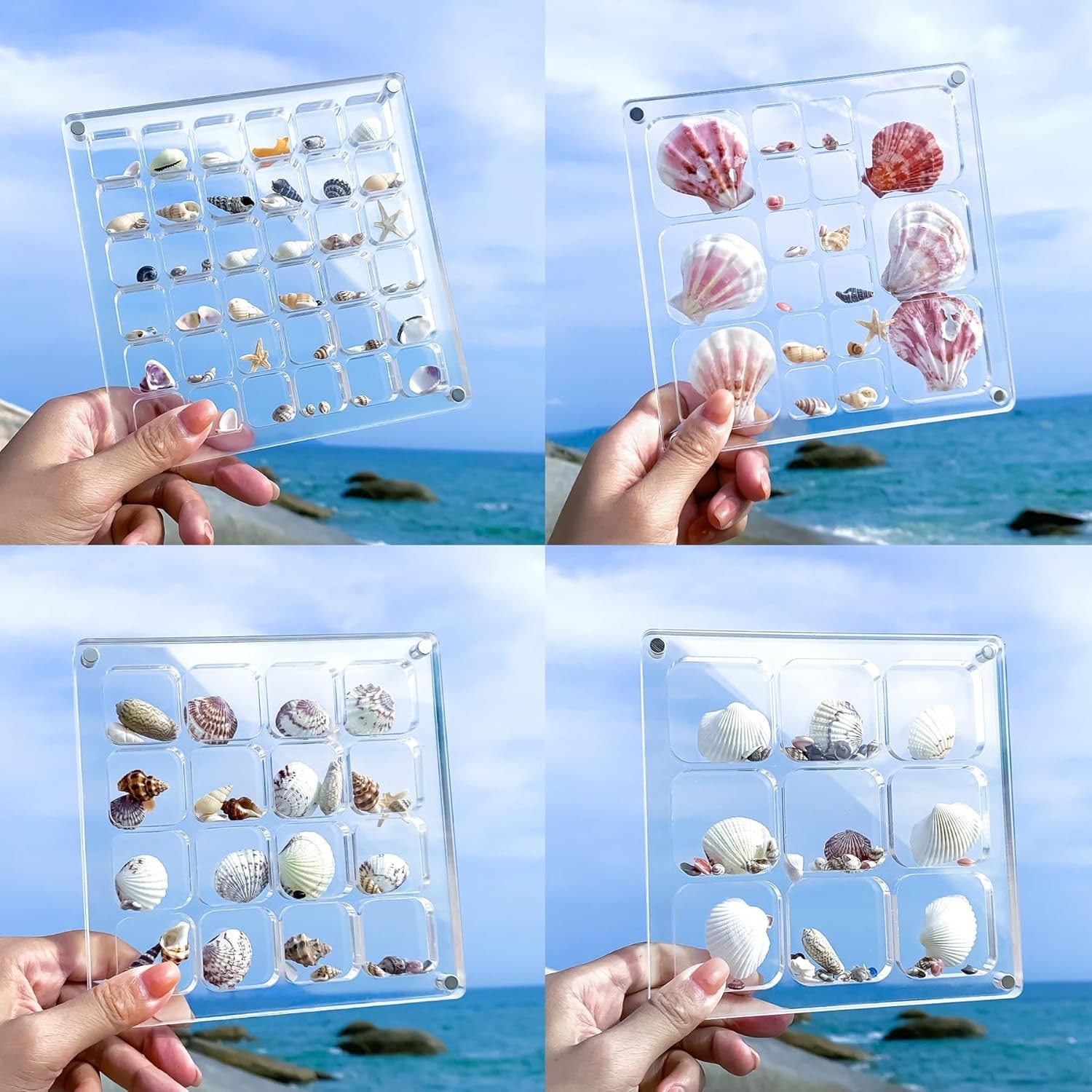 Water-Resistant Acrylic Shadow Box with Magnetic Switch for Beach Treasures