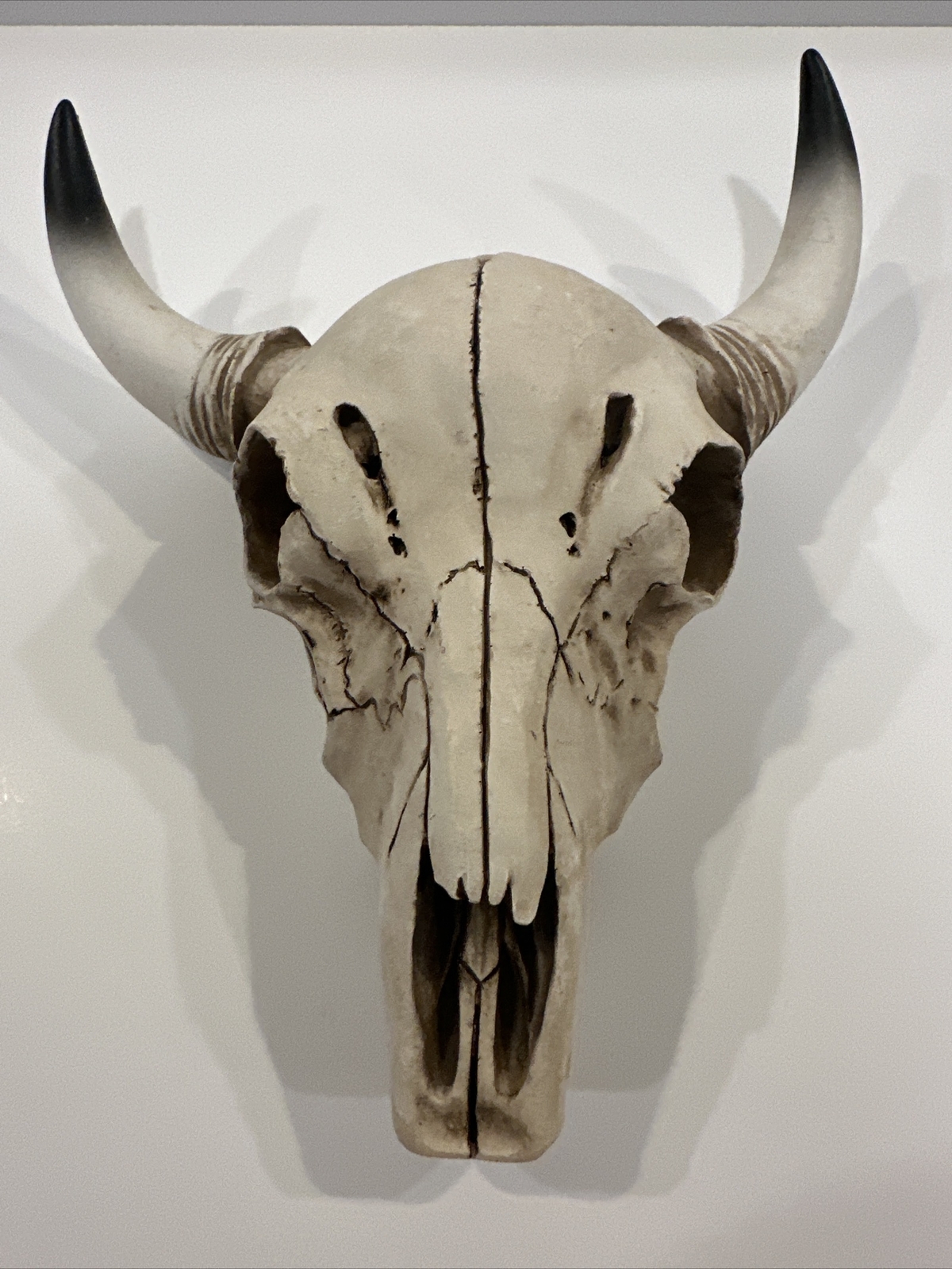 Decorative Bovine Skull