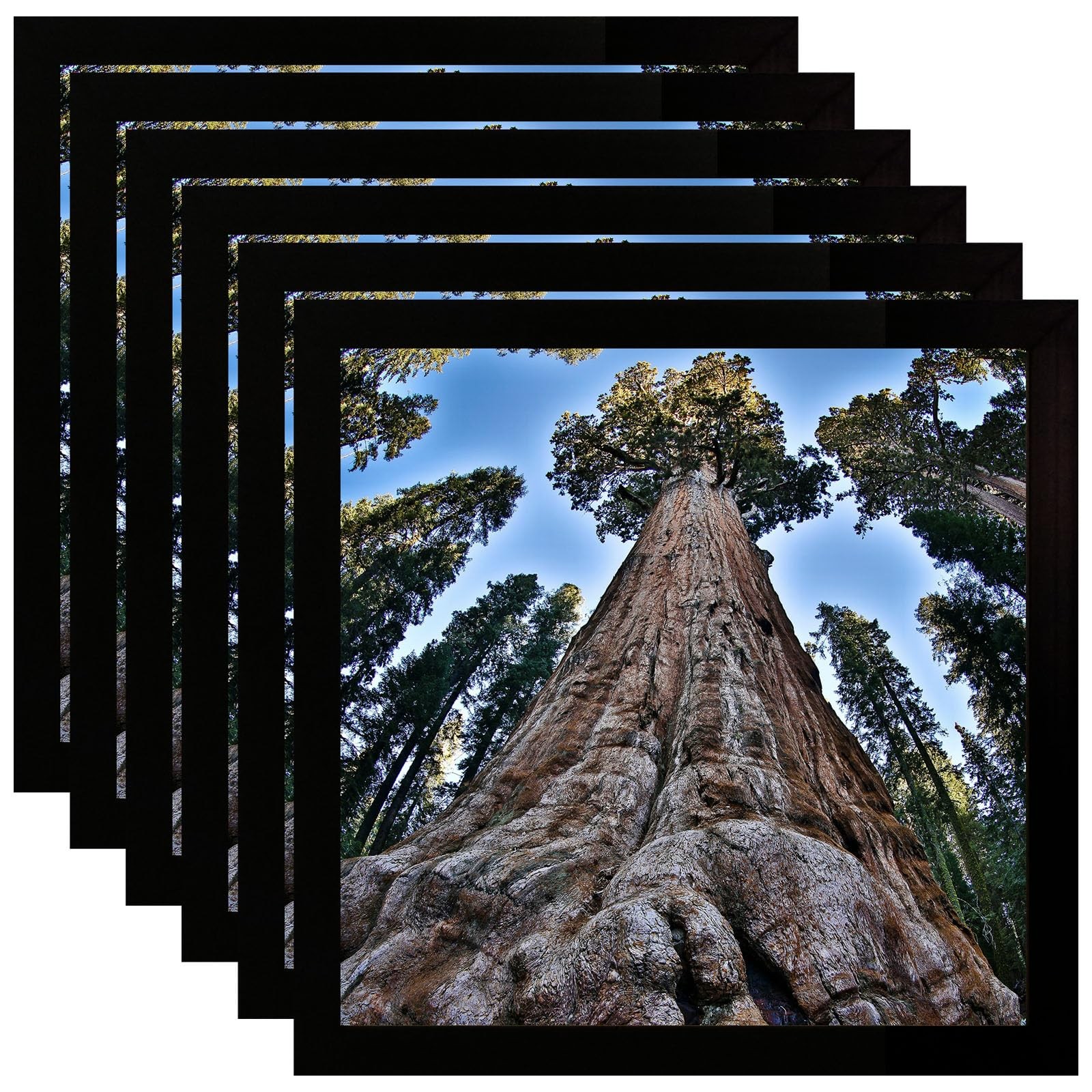 6 PCS 6×6 Inch Square Picture Frame Black Photo Display Wall Tabletop Set