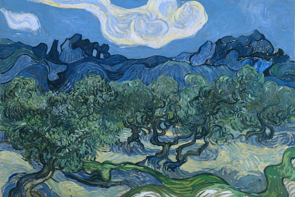 Vincent van Gogh The Olive Trees Cool Wall Decor Art Print Poster 18×12