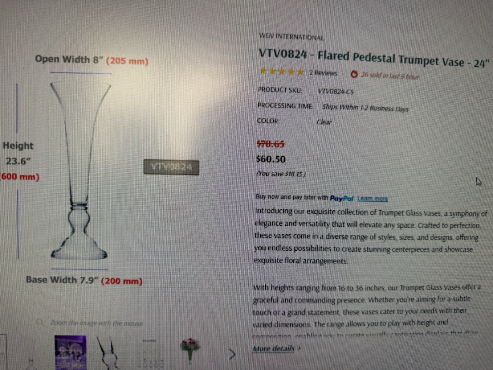 23.5” X 8” Clear Glass Flared Pedestal Vase