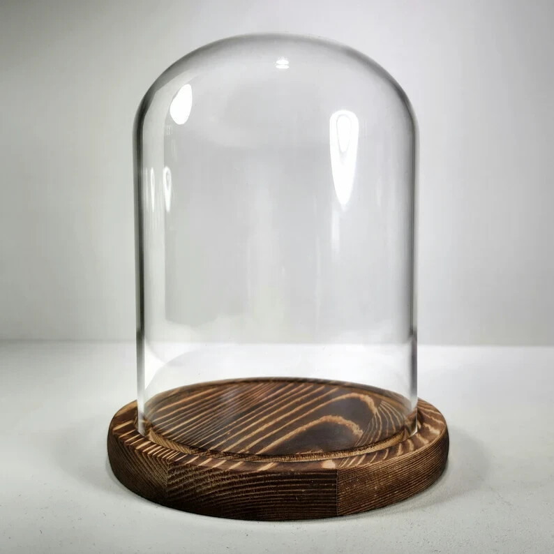 Glass Display Dome, Glass and Wood Cloche, Oddities Display Case