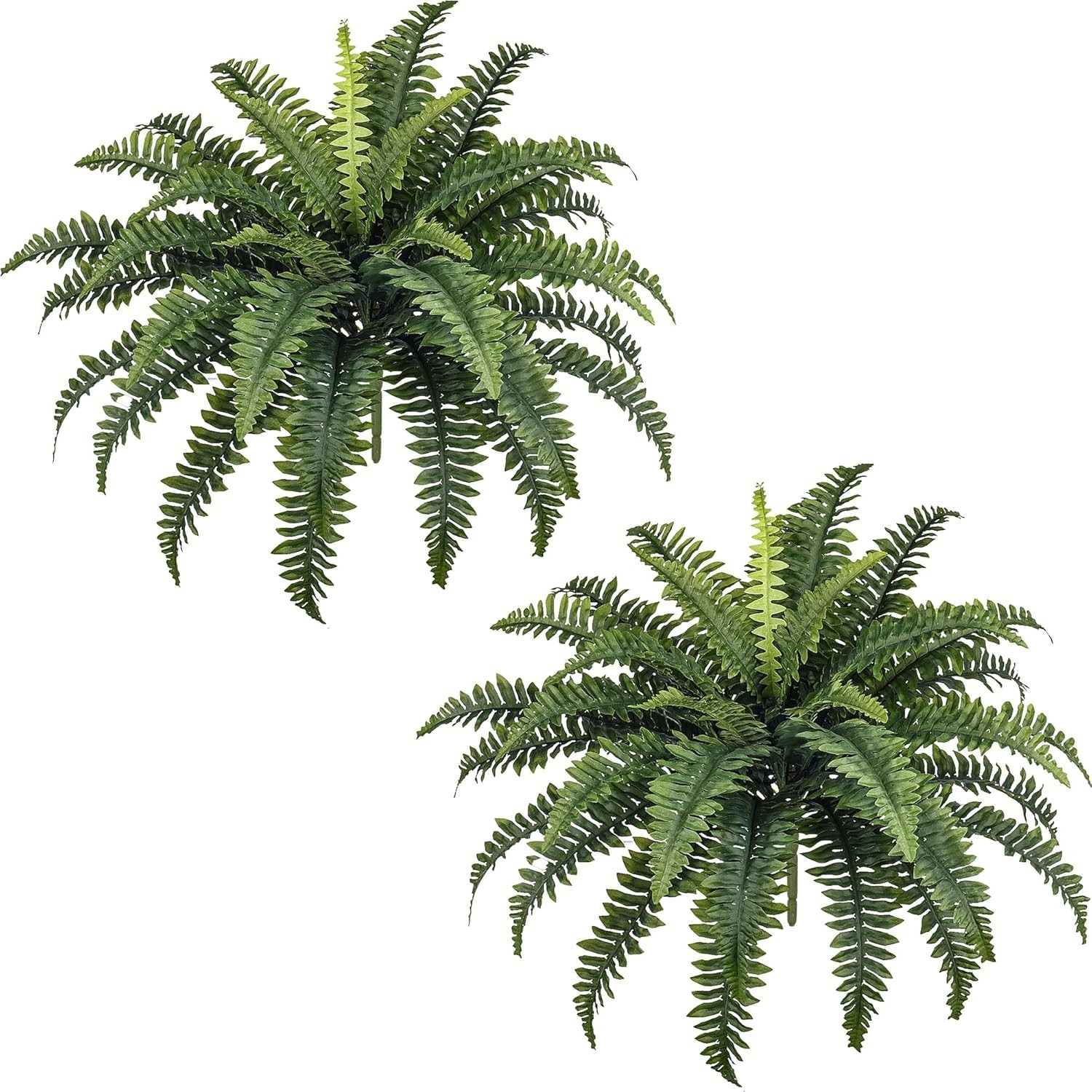 Stunning 35″ Indoor/Outdoor Ferns – 2 Realistic Boston Ferns for All Occasions