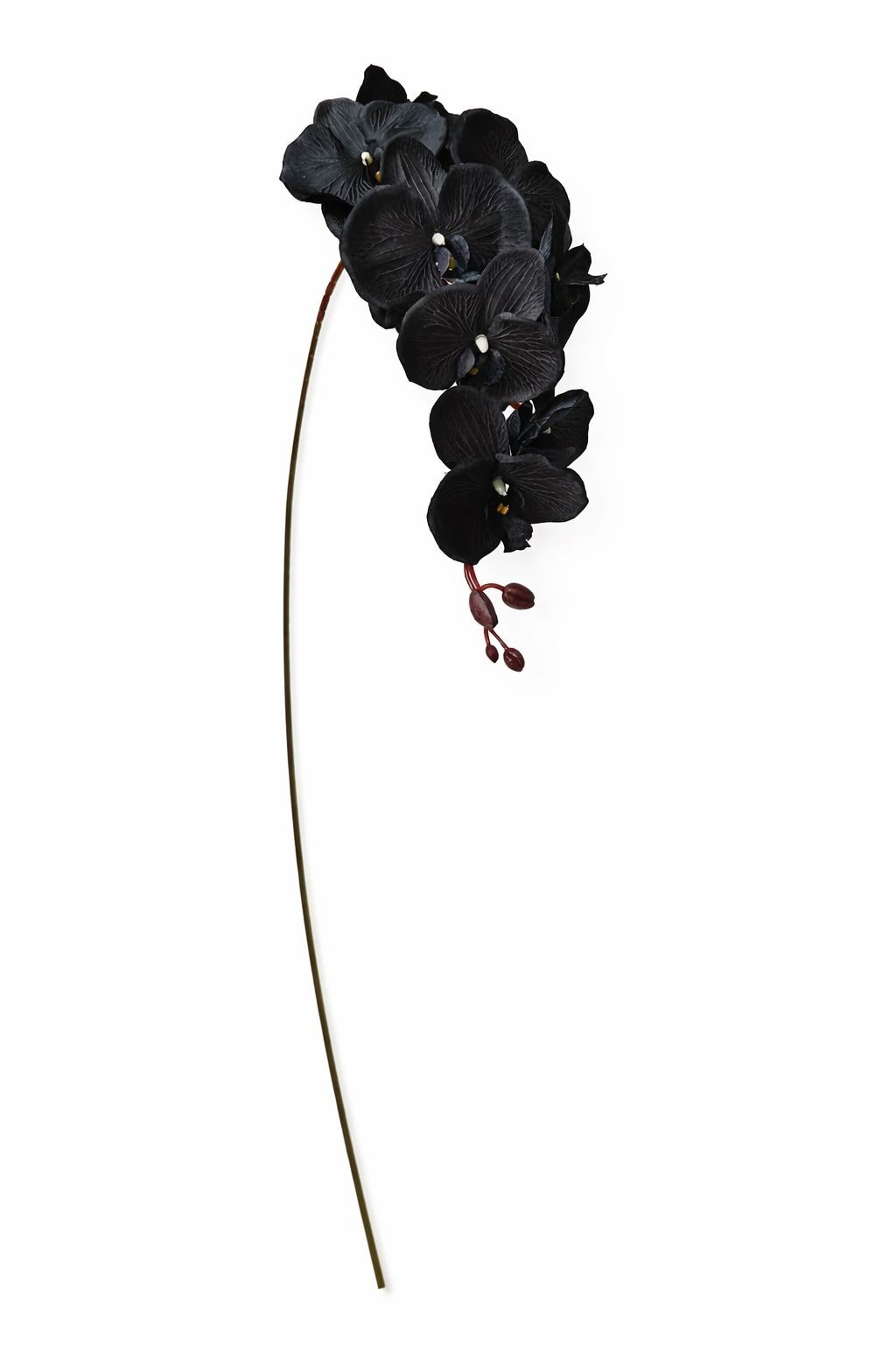 Black Orchid Stem Faux Flower Long Stem Floral 38 Inch Artificial Orchid Bloom T