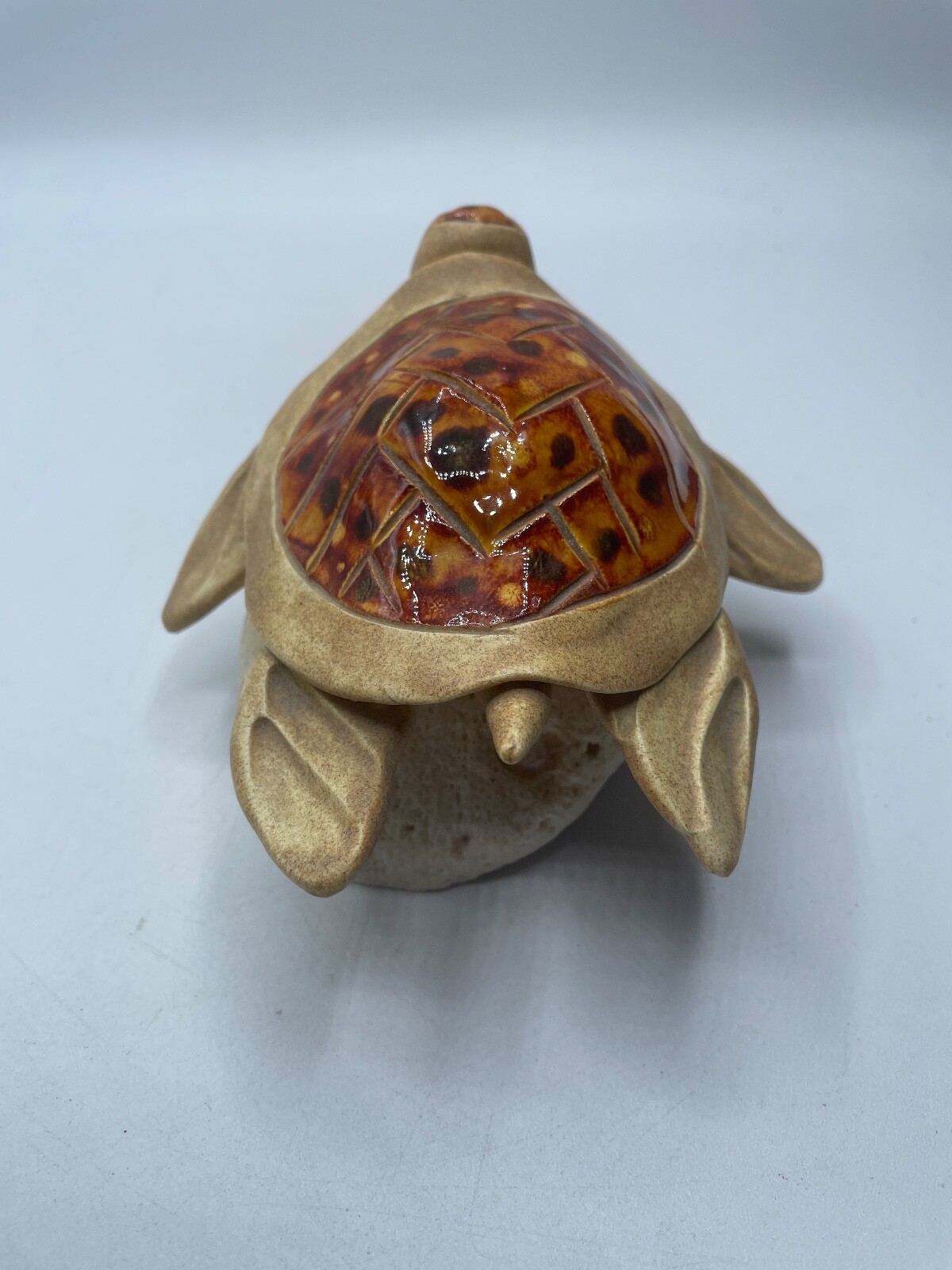 Handmade Turtle Glazed Shell on Coral Multicolor Ocean Beach Decor