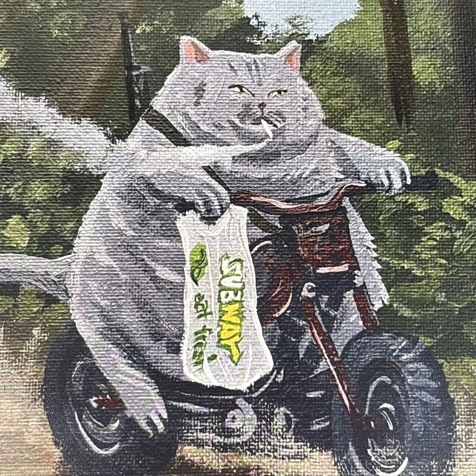 Chonky Cat Kitty Subway Smoking Bike Print Fat Chubby Funny Humor Wall Decor Art