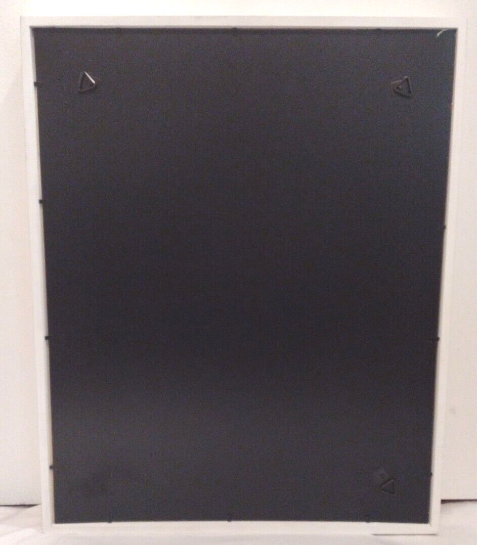 White Shadow Box Display Case 21″ L X 17″ W x 2″ H