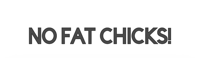 NO FAT CHICKS FUNNY GIRLS WOMEN JOKE VINYL DECAL STICKER CAR TRUCK WINDOW BUMPER