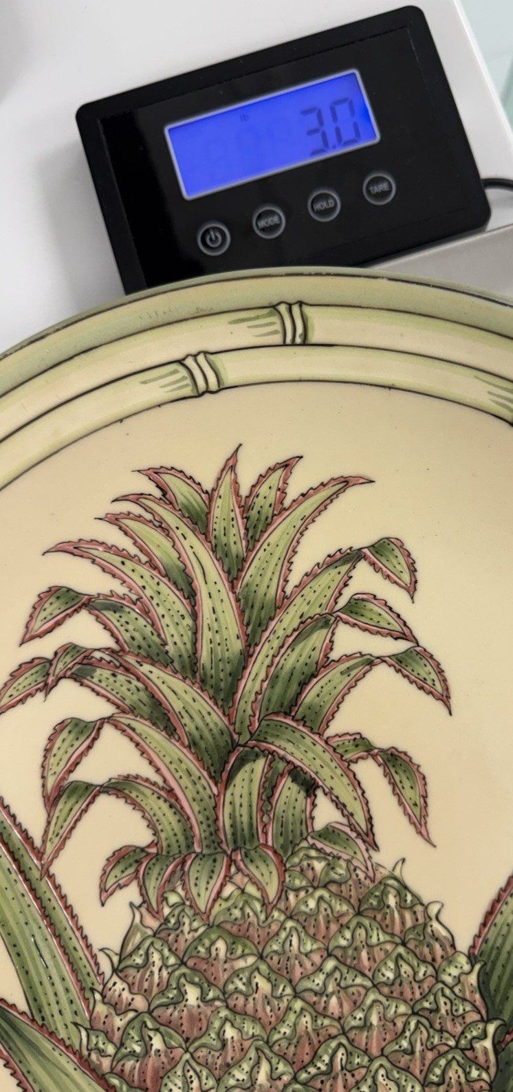 Decorative Pineapple Plate 12″ Tropical Bamboo Border Ceramic Wall Hanging 3 lb