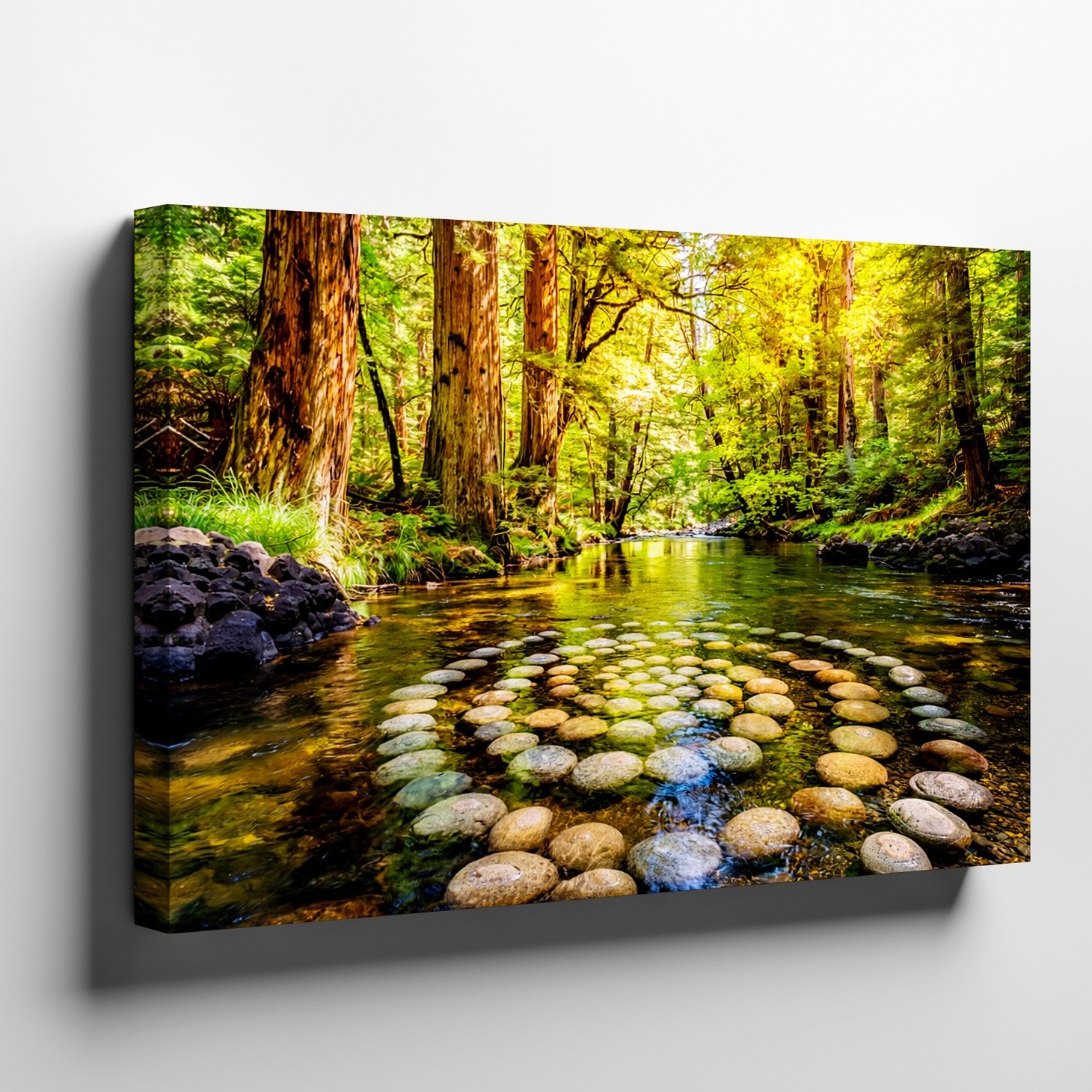 Spiral Rock Formation Canvas Wall Art Forest River Landscape Nature Print Decor