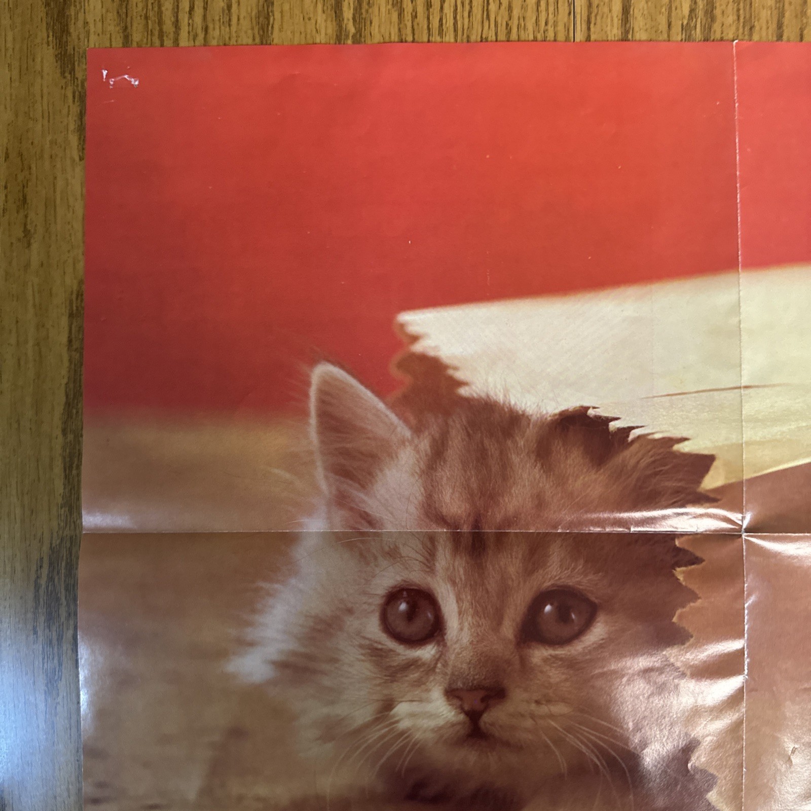 Vintage 70s 1977 Xerox Cute Kitten Kitty Cat Hiding In Bag Poster Wall Art 24×18