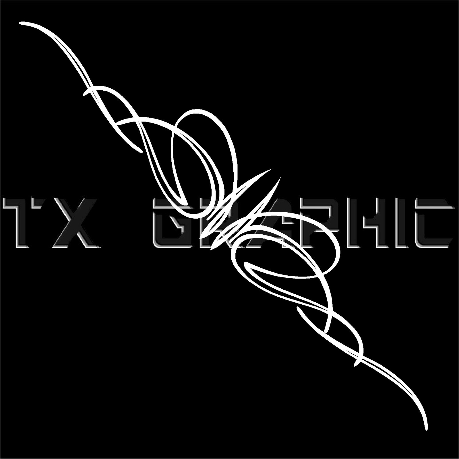 PINSTRIPE VINYL DECAL DECORATION STICKER PINSTRIPING WINDOW CAR TRUCK GRAPHIC #3