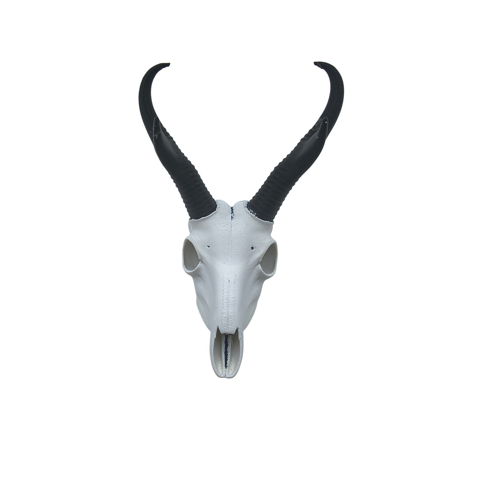 3D Printed Pronghorn Antelope Skull Replica White Black Faux Taxidermy Decor 6in