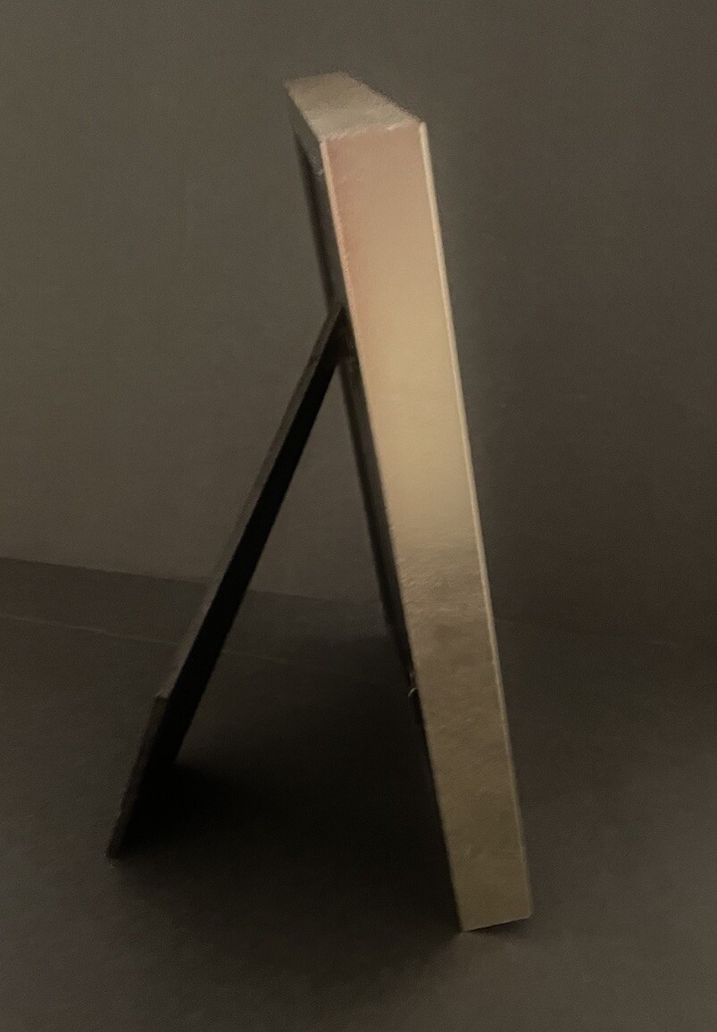 Nicole Miller Home Brushed Gold 5 X 7 in Metal Frame NWOB