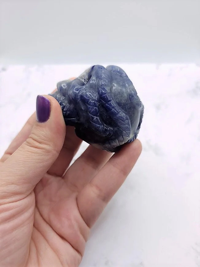 Unique Sodalite Crystal Skull with Intricate Snake Design – Spiritual Home Decor