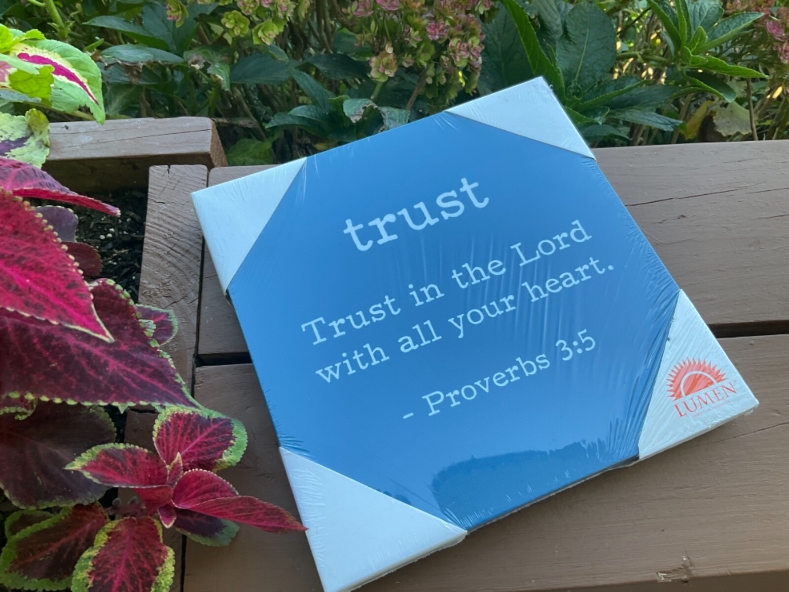 Bible Verse Wall Plaque – TRUST