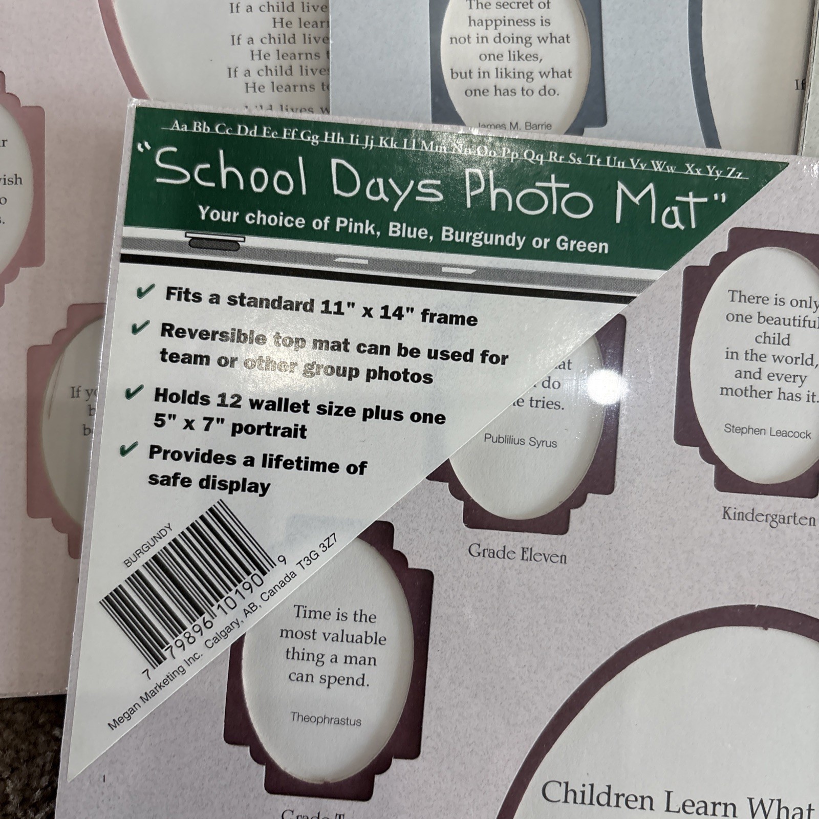 11×14 SCHOOL DAYS Kindergarten-12 Photo Mat pink Blue Burgundy Green