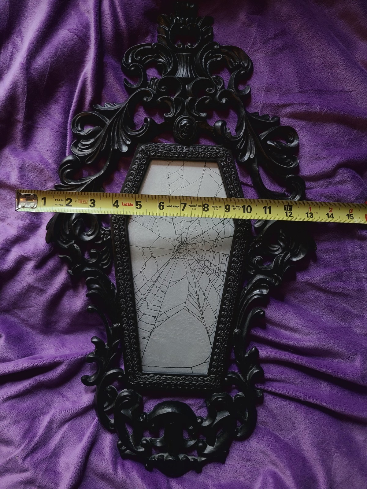 Victorian Gothic Style Coffin Frame with REAL Spider Web