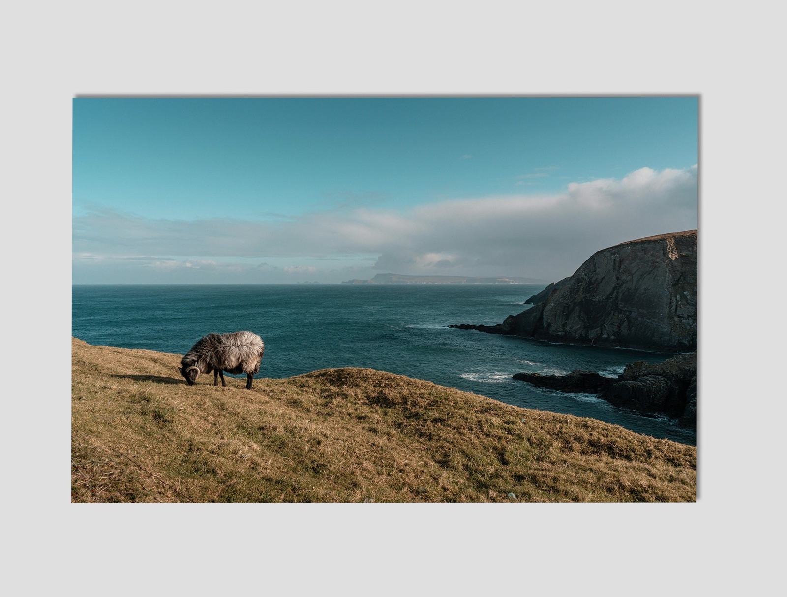 Ireland County Donegal Coastline Premium Giclee Print 11″ x 17″ Irish Wall Art