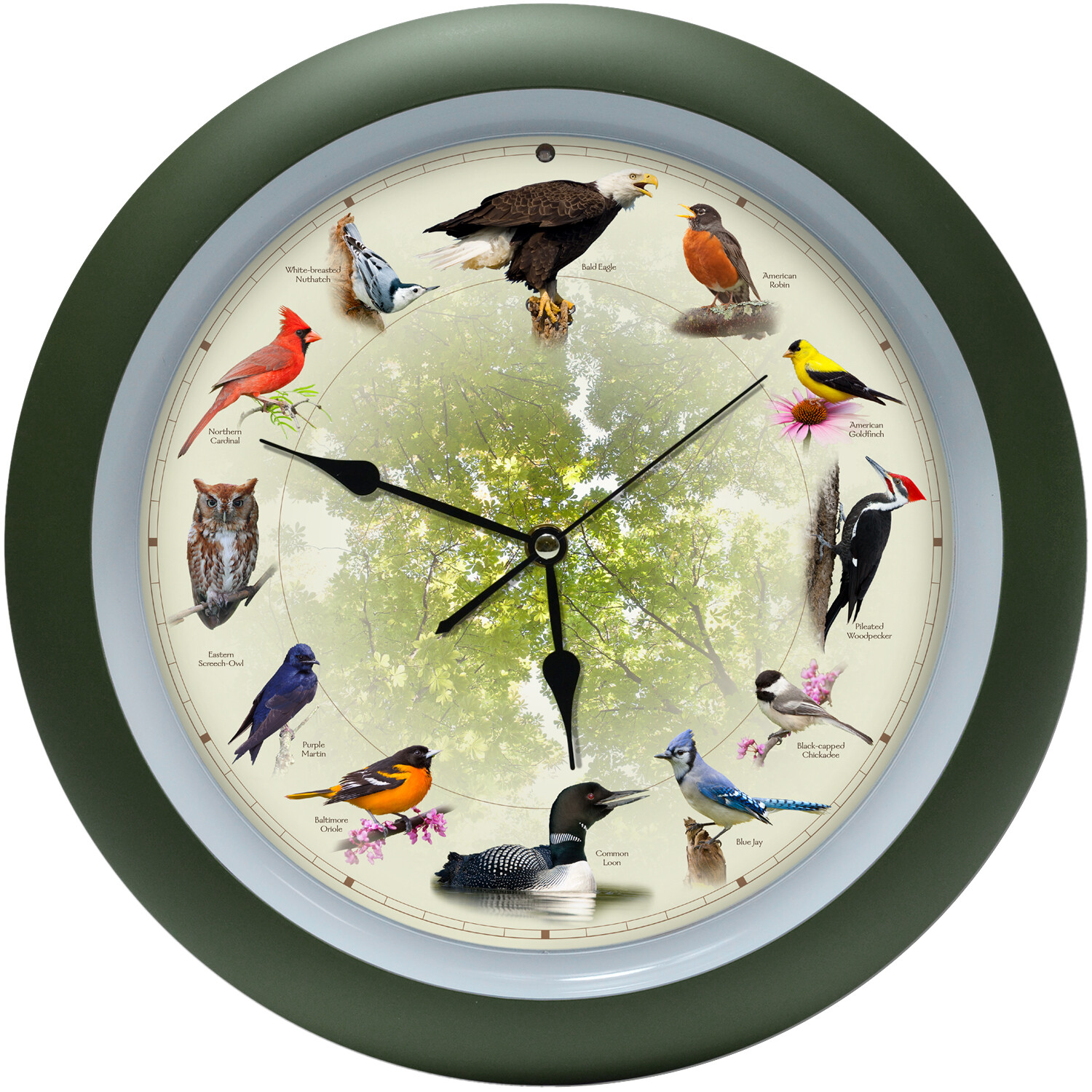 Limited Edition 20th Anniversary Singing Bird Wall Sound Clock, 13″, Green