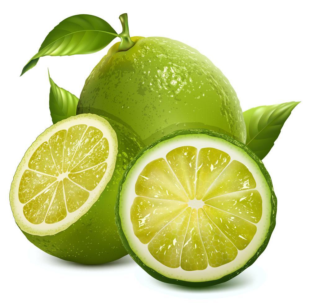 (10) LEMON/LIME SEEDS perennial garden bed citrus bush plant USA SELLER W/TRACK