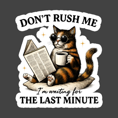 Cat Sticker Vinyl Decal Dont Rush Me Funny Lazy Coffee Reading Kitty
