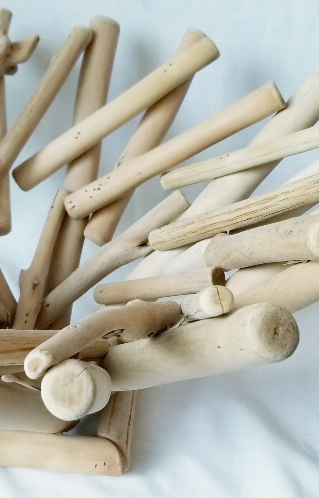 Anthropologie Driftwood Wooden Bowl Beach House Centerpiece Wood Decorative Art