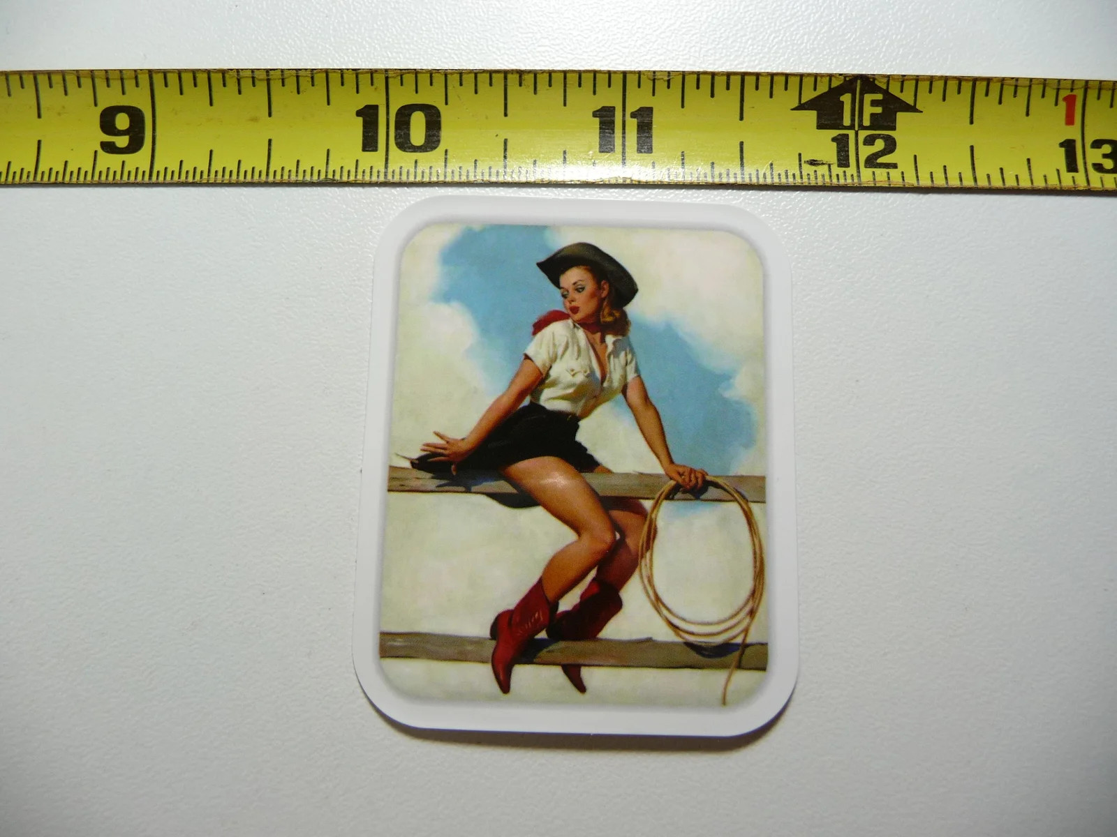SEXY COWGIRL ON FENCE SMALL STICKER DECAL COUNTRY SOUTHWEST RODEO RANCH
