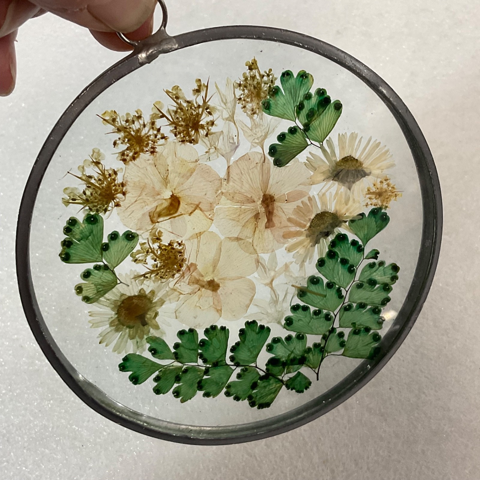 Pressed Flower Glass Suncatcher 4in Round Hanging Botanical Decor