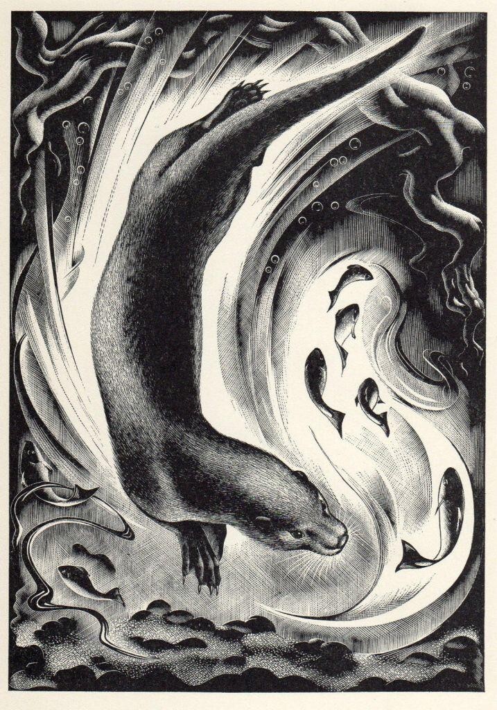 Otter : Agnes Miller Parker : 1929 : Archival Quality Art Print