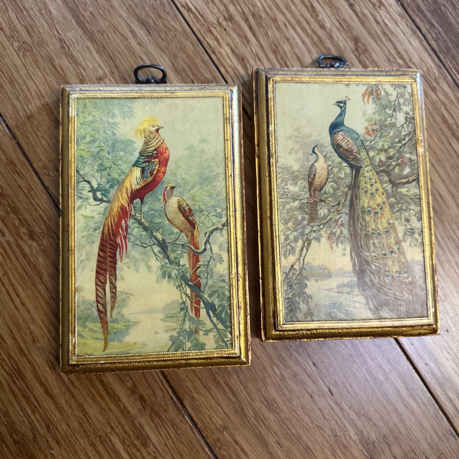 Vintage Bird Art Wall Plaques Set Wood Framed Accent Decor