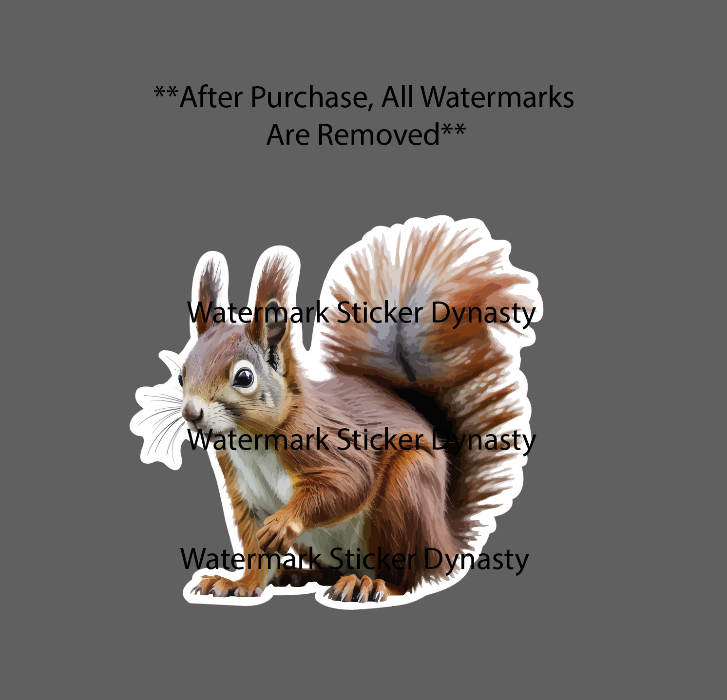 Red Squirrel Sticker Waterproof Decal Animal Nature Outdoor Wildlife Gift NEW