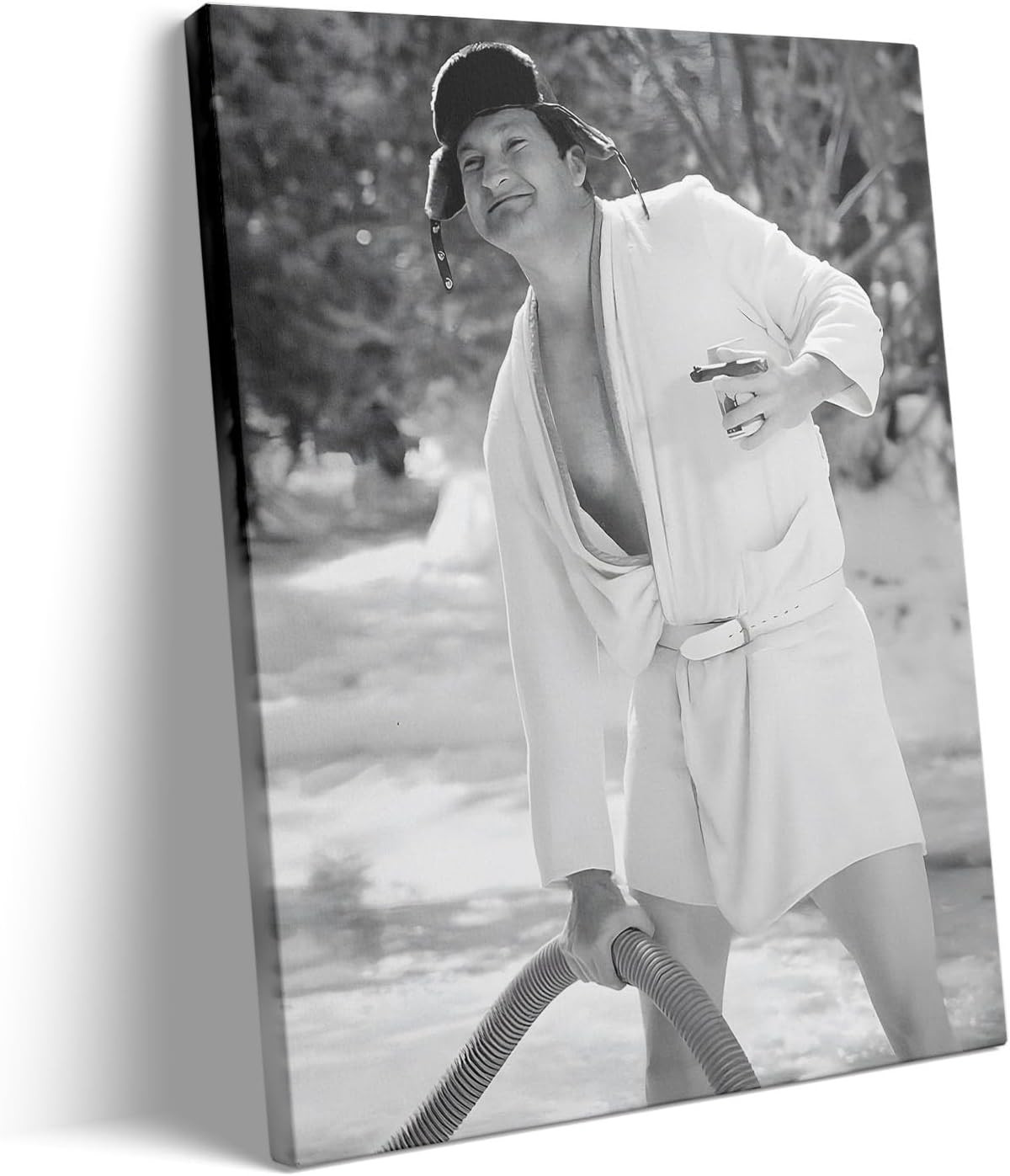 Funny Bathroom Canvas Wall Art, Hilarious Toilet Paper Canvas Print, Bathroom Co