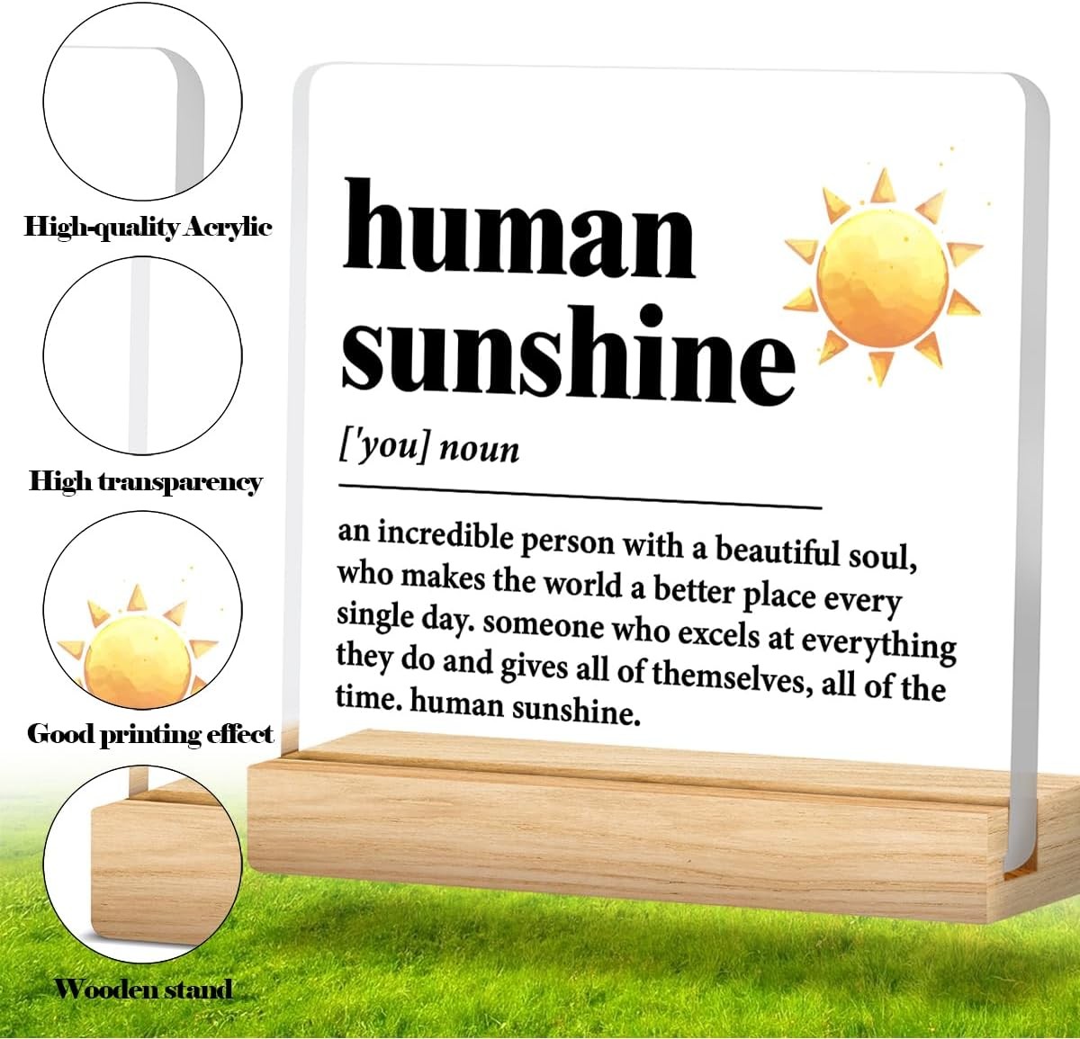 Human Sunshine Motivational Gift for Women Men, Employee Appreciation, Coworker