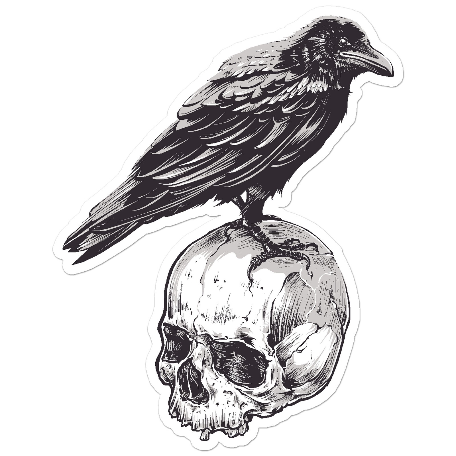 Crow Skull Raven – Vinyl Decal Sticker – Car Window Laptop – ebn8996