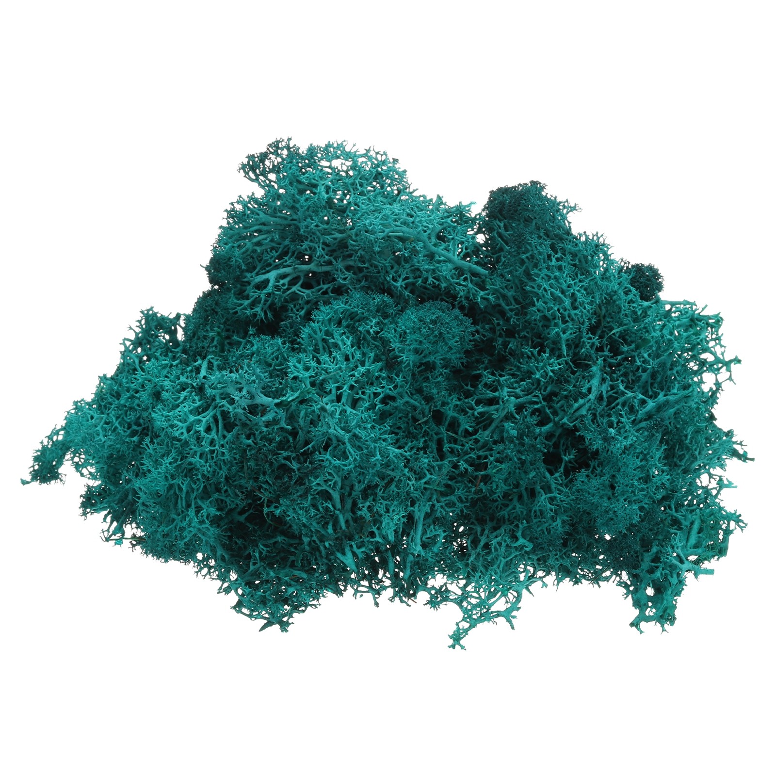 Preserved Reindeer Moss, 4 OZ Fake Moss for Crafts (Deep Green)