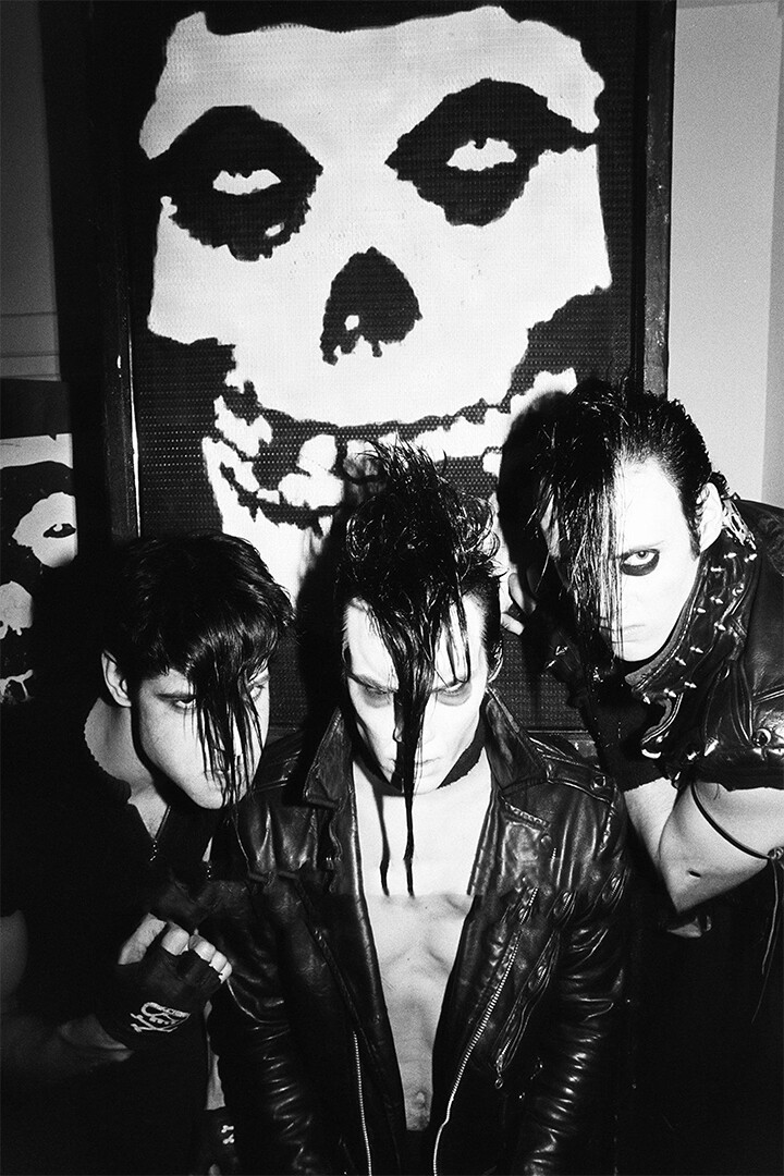 The Misfits Hot New Print Image Photo Wall Art Home Decor – POSTER 20×30