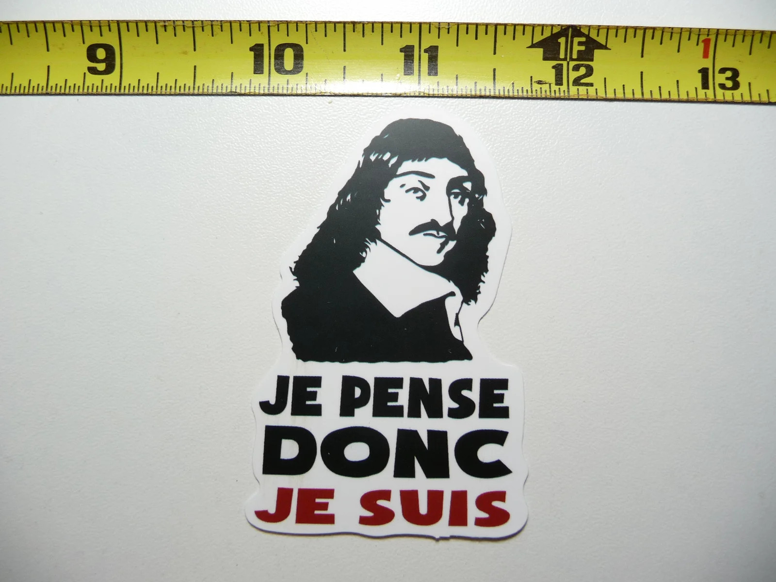 RENE DESCARTES I THINK THEREFORE I AM SMALL STICKER DECAL FUNNY PARODY FAMOUS